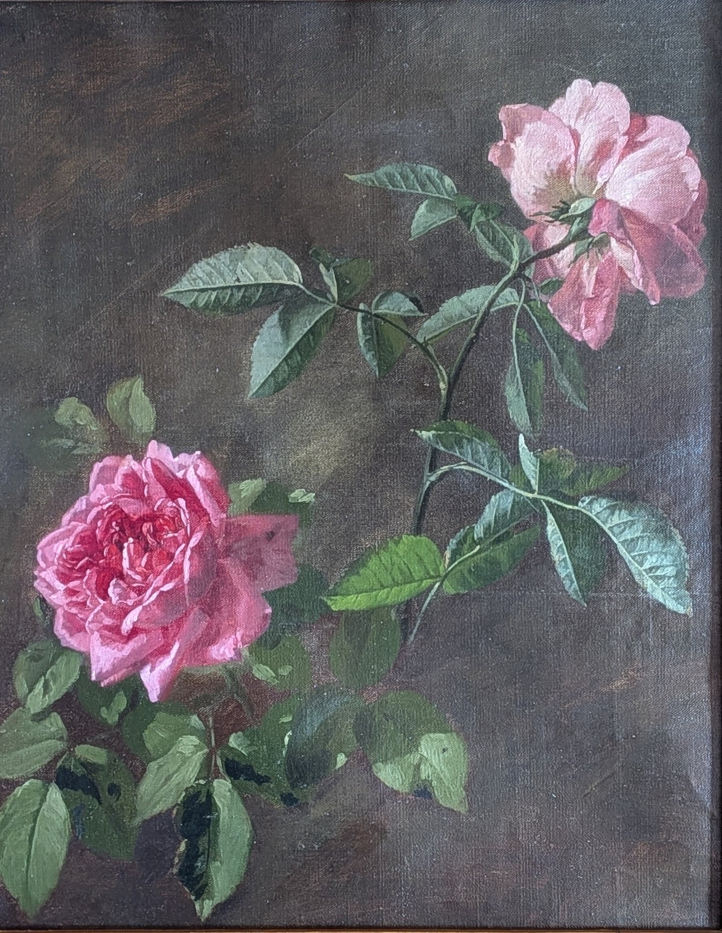 Gustave Emile Couder (1845-1903) Etude de fleurs roses